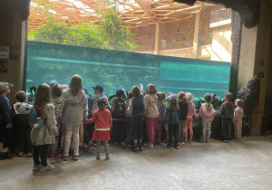 dzieci oglądają ryby przez szklaną ścianę